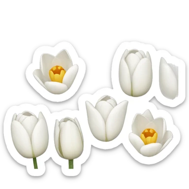 white tulip bouquet  sticker