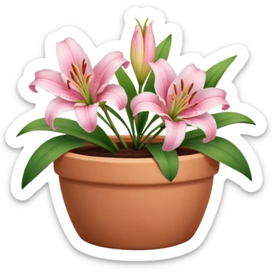 light pink lily flowers in a clay pot sticker