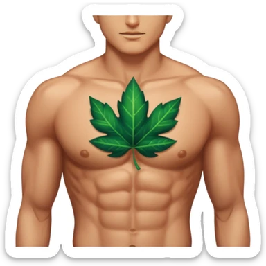 close up male abs and chest with leaf shadows and crystal reflections sticker