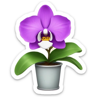 orchid plant sticker