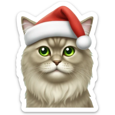 persian cat with light green eyes with santa hat sticker
