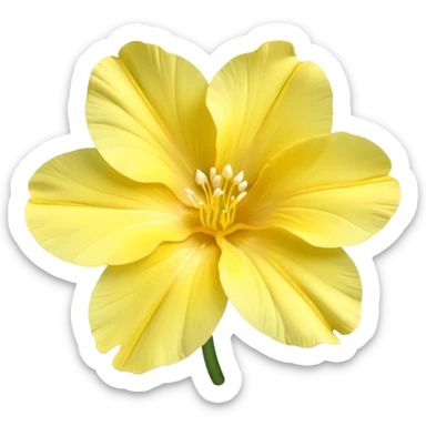 Evening primrose sticker