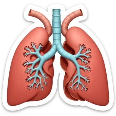 A 3D cartoon anatomical illustration of human lungs with trachea and bronchi, soft lighting, Memoji-style. sticker