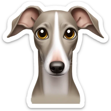 Sand Italian greyhound style iPhone emoji de face le regard joyeux bouche fermé truffe humide sticker