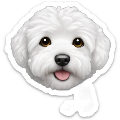 white maltipoo in the winter, having snow on the nose sticker