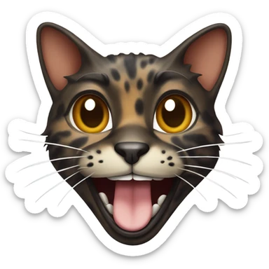 Tortoise cat laughing  sticker