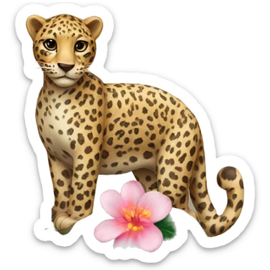 leopard with a flower sticker