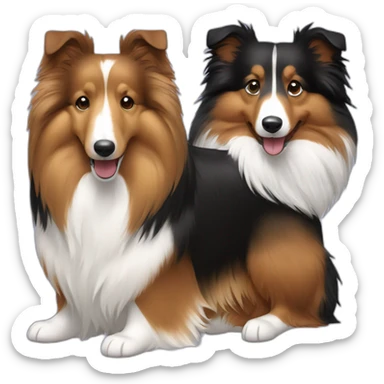 sable sheltie and bi-black sheltie are friends sticker