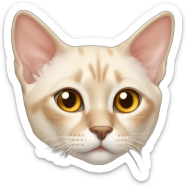 Flamepoint siamese cat sticker