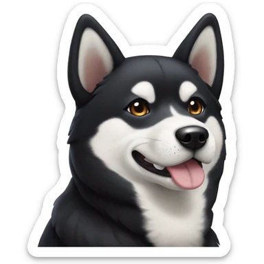 Old black Shiba Inu with white areas of the face resembling a husky sticker