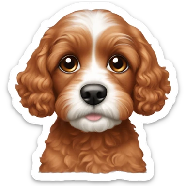 Reddish color Cavapoo puppy face sticker