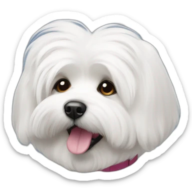 perrita coton de tulear sticker