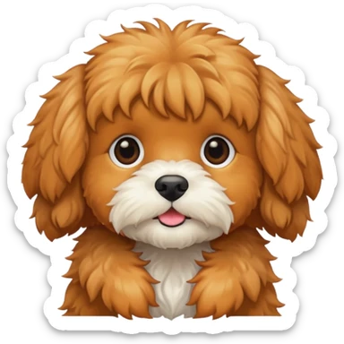Cavapoo  apricot sticker
