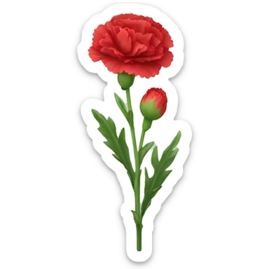 red Carnation flower sticker