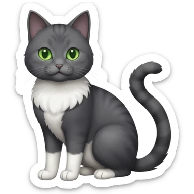full body view of beautiful female solid dark grey cat with green eyes, white toes/paws and white patch on her chest sticker