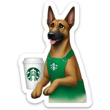 Malinois dog working at Starbucks with green apron sticker