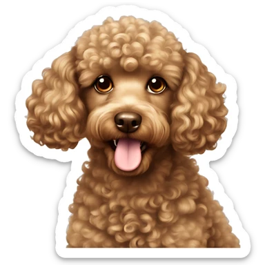 dog poodle brown curly sticker