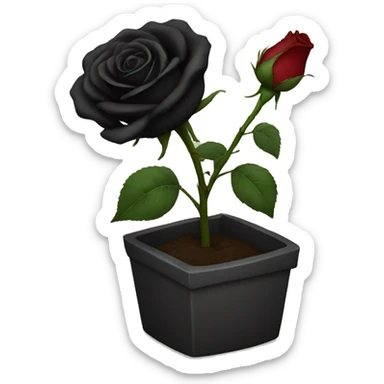 Black rose sticker
