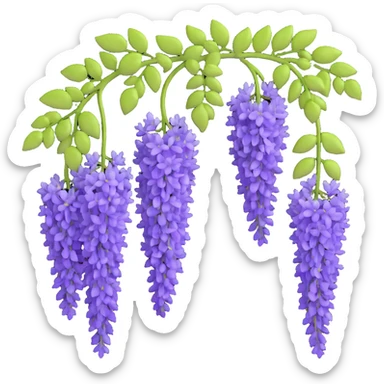 Realistic hanging wisteria racemes with detailed grape-like clusters of lavender flowers cascading downward, accompanied by light green compound leaves sticker
