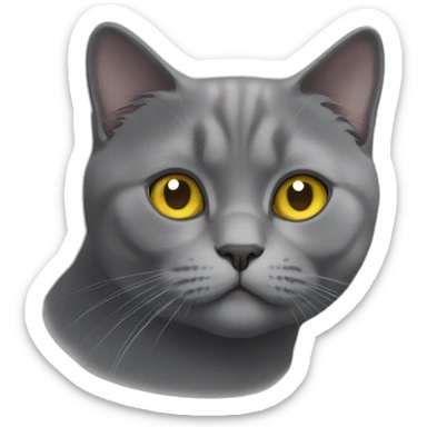 A british shorthair cat in schildpatt and with yellow eyes sticker