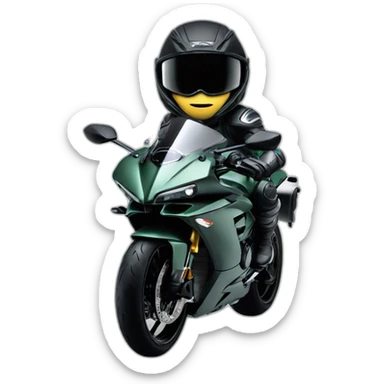 Ninja h2r sticker