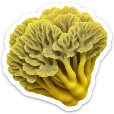 Yellow brain coral sticker