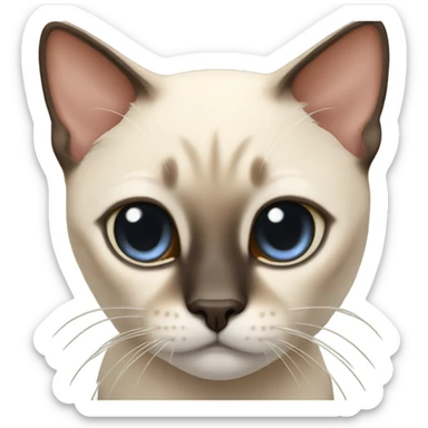 Siamese cat sticker