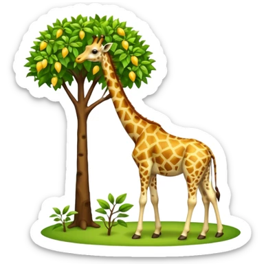 giraffe eating leaves from a tree sticker