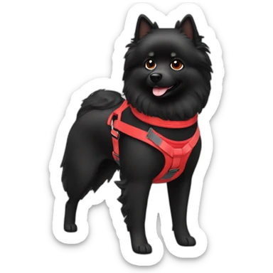 Black Spitz with red harness sticker