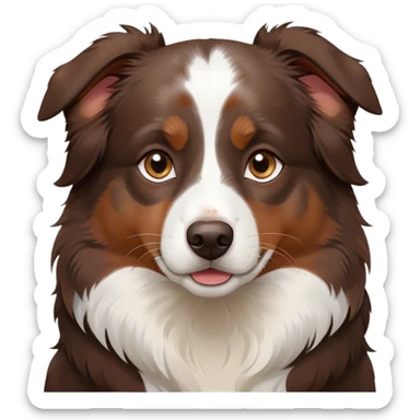 Dark Brown mini Australian shepherd with white in middle of forehead and some white on nose with small brown spots sticker