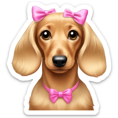 Blonde long hair dachshund puppy with pink bows on ears sticker