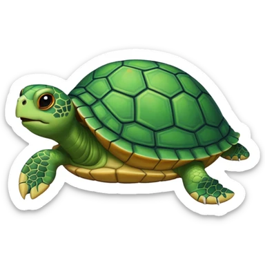 pet turtle sticker