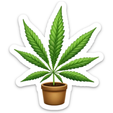 420 day sticker