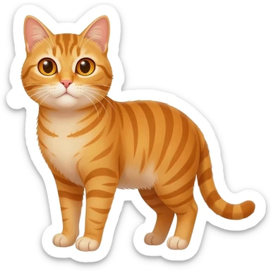 Tabby cat orange sticker