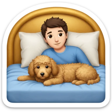 Brunette man laying in bed dreaming of golden doodle  sticker