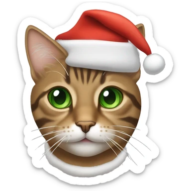 brown tabby cat with green eyes with a santa hat on sticker