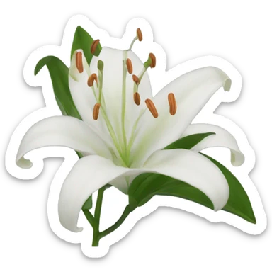 Lily sticker