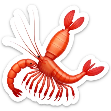 Coral banded shrimp sticker