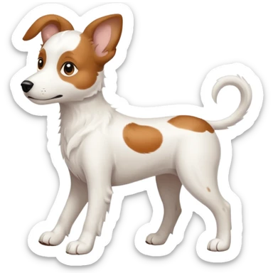 White midle dog Not fluffy with brown eyes and some long white body and white ears with brown spots curved on the sides , walking  sticker