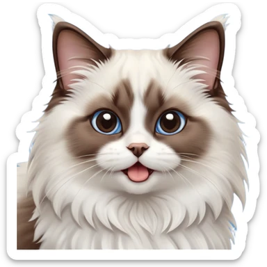 cinematic-adorable-big-eyed-fluffy-dark brown and white ragdoll-cat-portrait-emoji,-head-tilted-playfully-with-a-cute,-yawn,-soft-brown-and white-colored-fur-with-darker-points-on-the-ears,-simplified-yet-irresistibly-cute-features, sparkling blue eyes sticker
