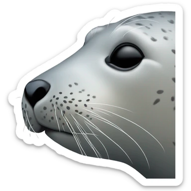 gray seal with a kiss sticker