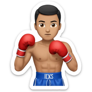   آدمی که بکس میکنه بالباس ابی دستکش مشکی مرد باشه sticker