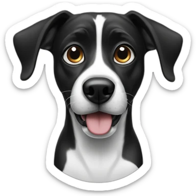 Fisheye begging black and white borador dog sticker