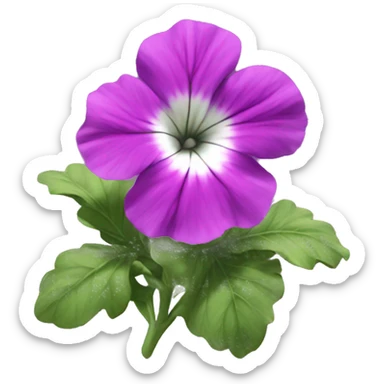 SMU petunia sticker