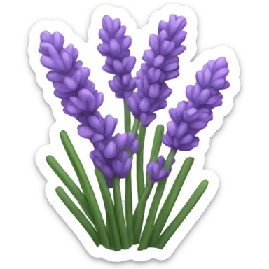lavender  sticker