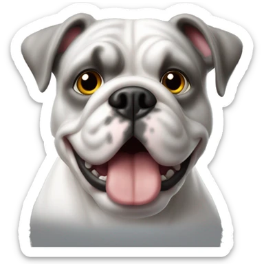 Französische Bulldogge grau sticker