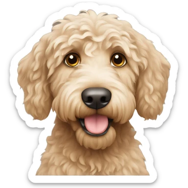 Labradoodle sticker