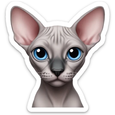 Pink grey canadian sphynx cat with blue eyes and black nose sticker