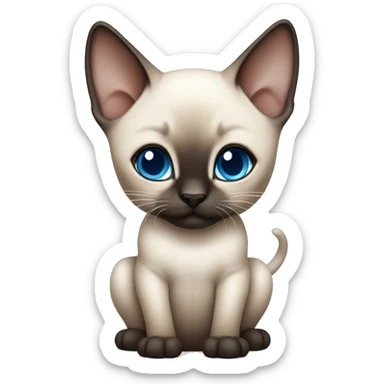 Siamese baby cat with blue eyes sticker