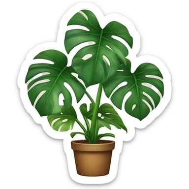 Monstera plant sticker